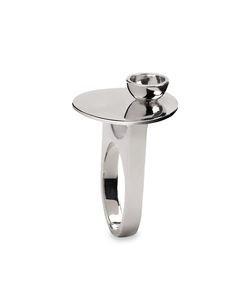 The PALETTE Ring
