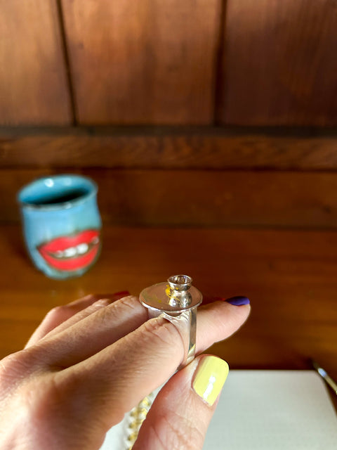 The PALETTE Ring